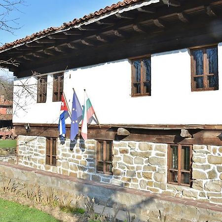 Ecopark Elena Otel Dış mekan fotoğraf