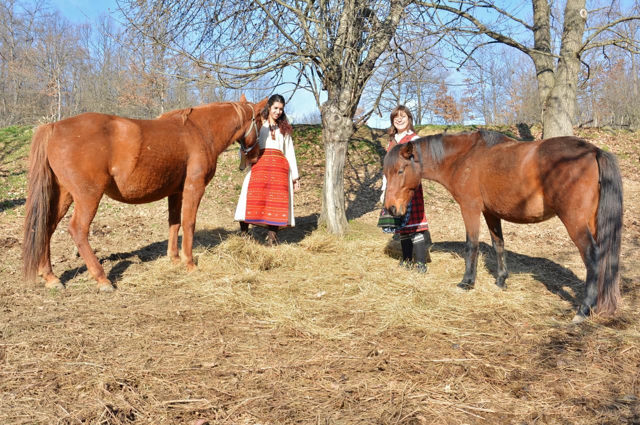 Ecopark Elena Otel Dış mekan fotoğraf