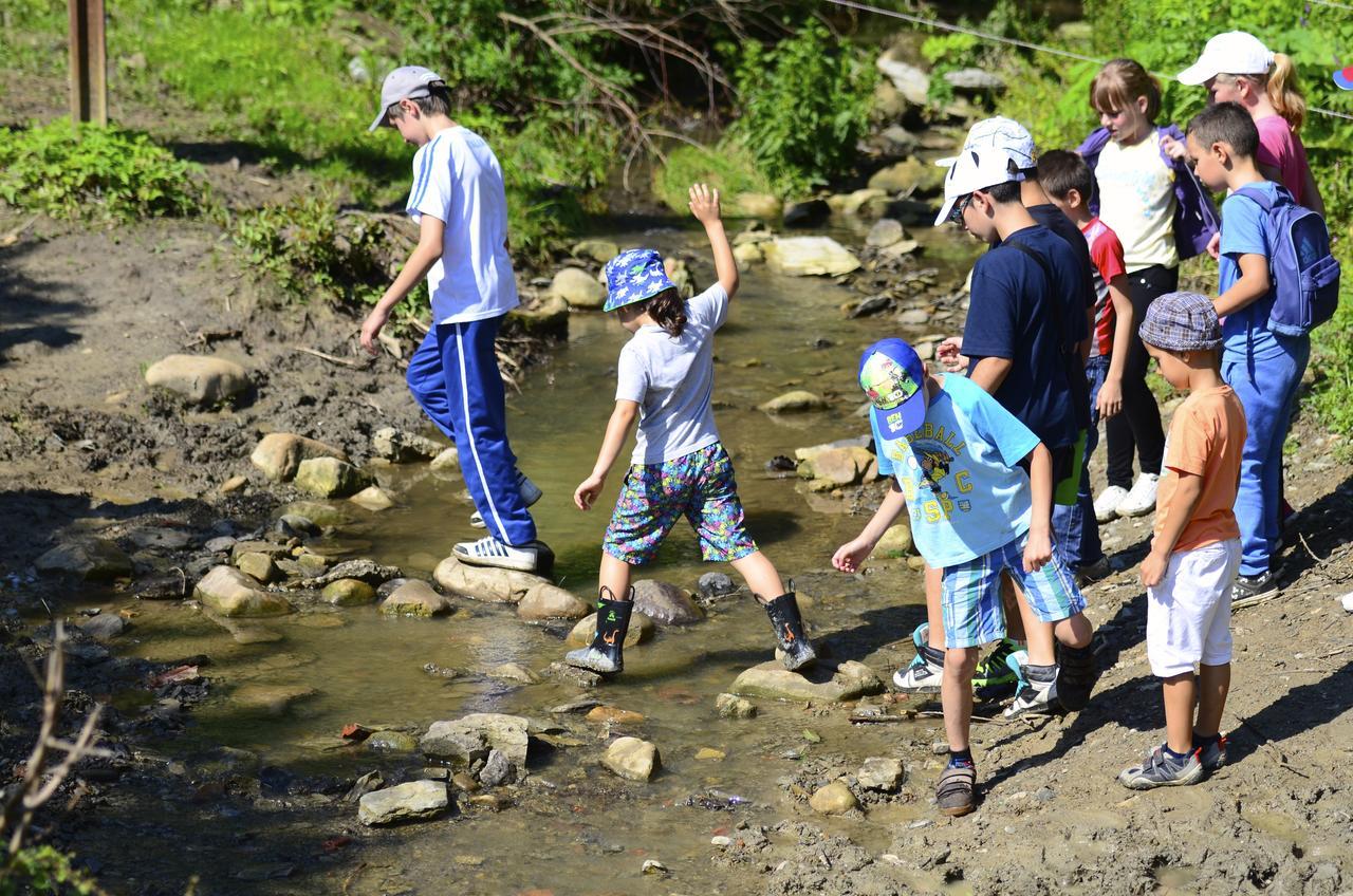 Ecopark Elena Otel Dış mekan fotoğraf