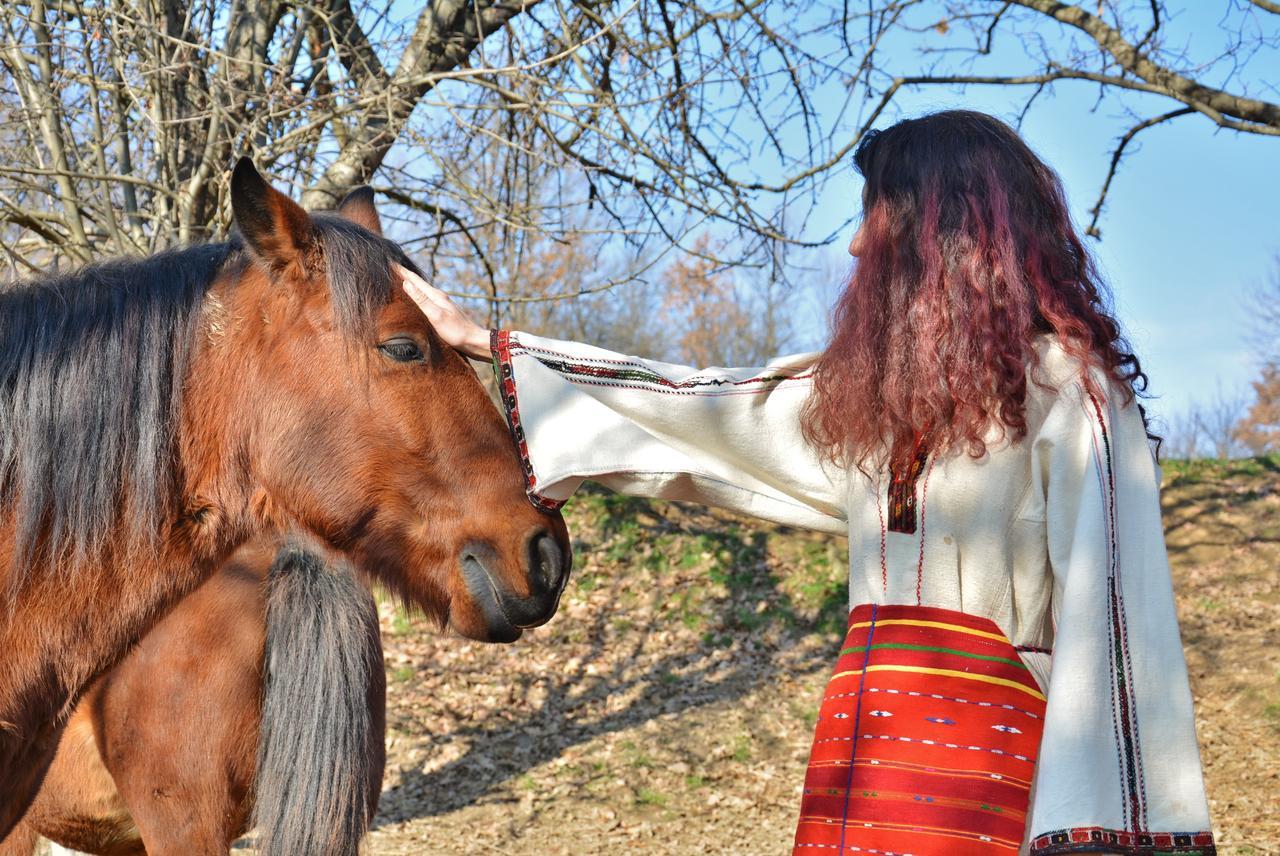 Ecopark Elena Otel Dış mekan fotoğraf