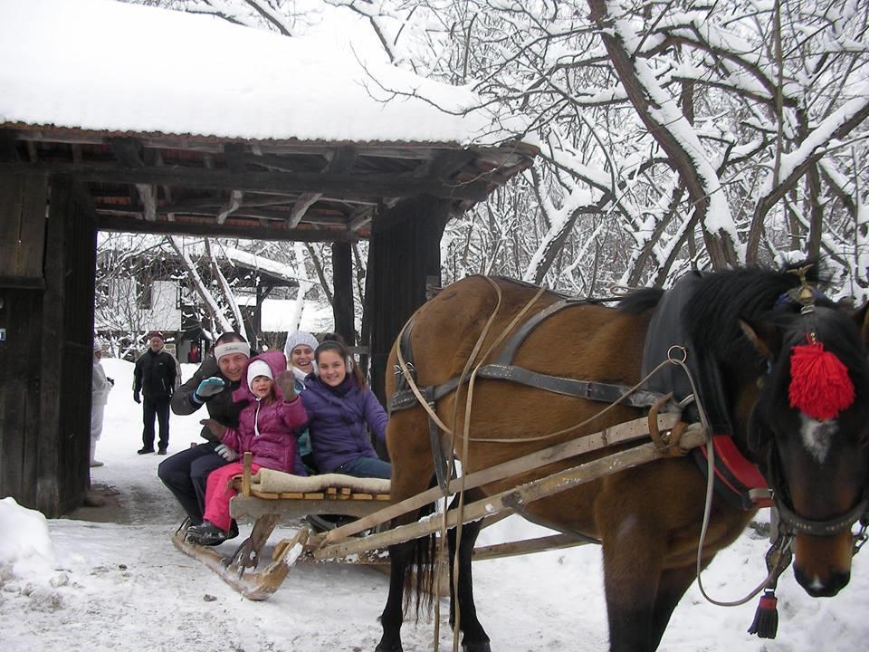Ecopark Elena Otel Dış mekan fotoğraf