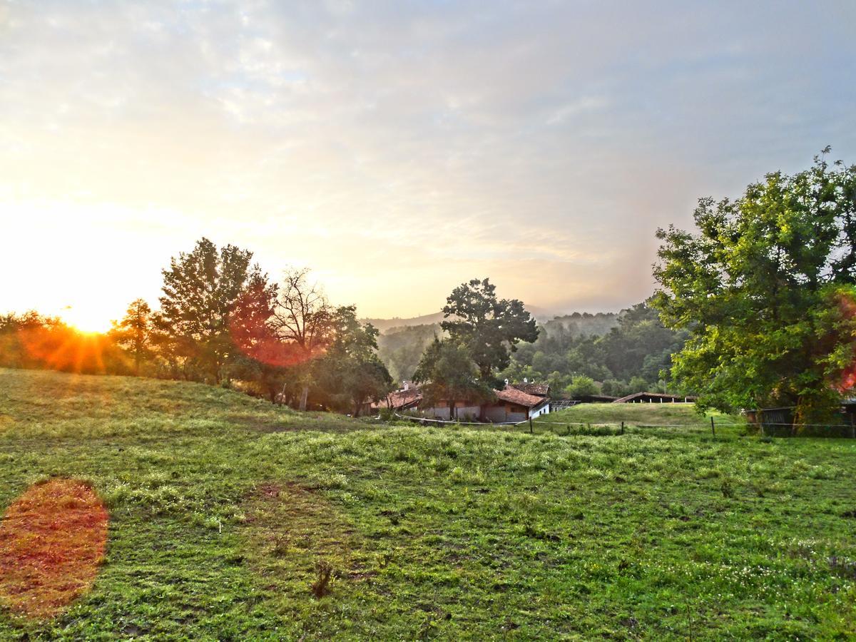 Ecopark Elena Otel Dış mekan fotoğraf