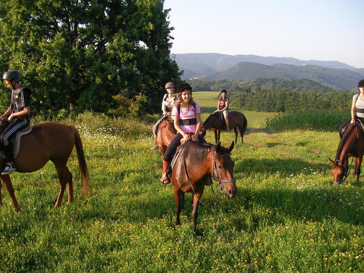 Ecopark Elena Otel Dış mekan fotoğraf