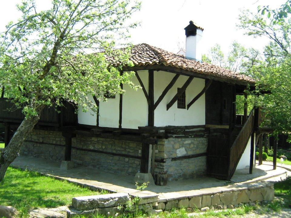 Ecopark Elena Otel Dış mekan fotoğraf