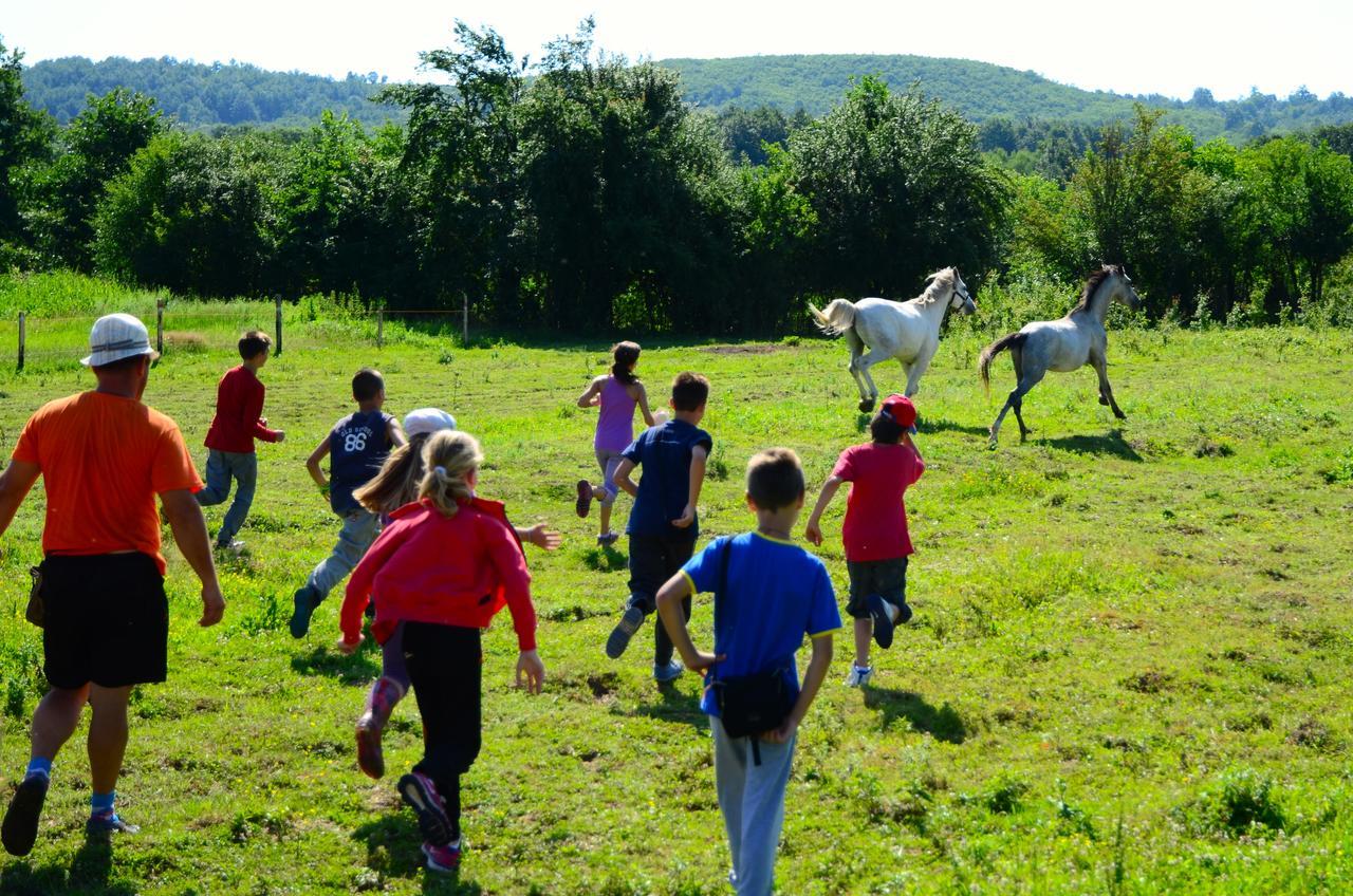 Ecopark Elena Otel Dış mekan fotoğraf