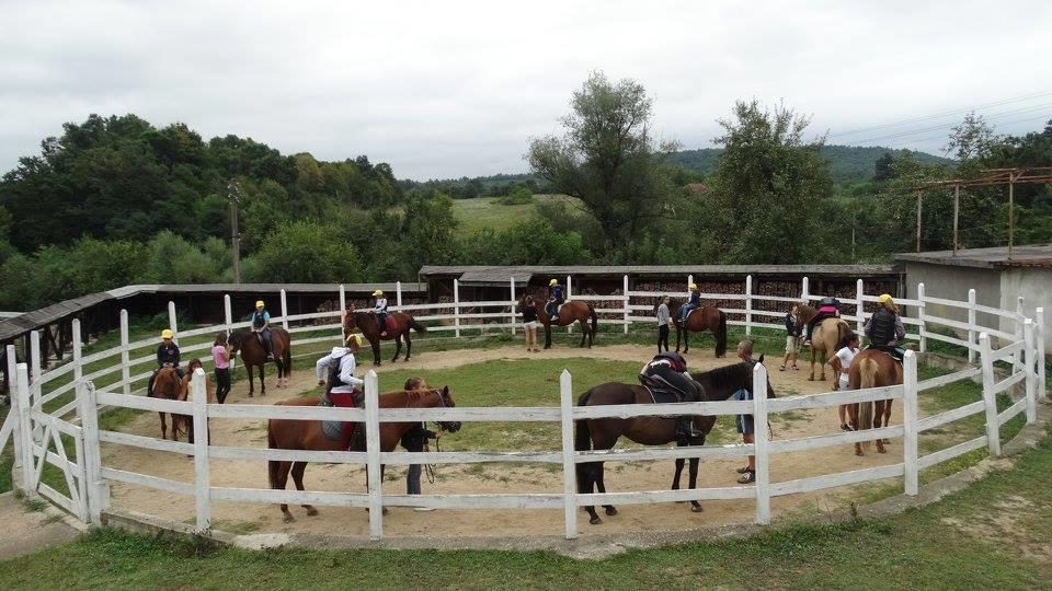 Ecopark Elena Otel Dış mekan fotoğraf