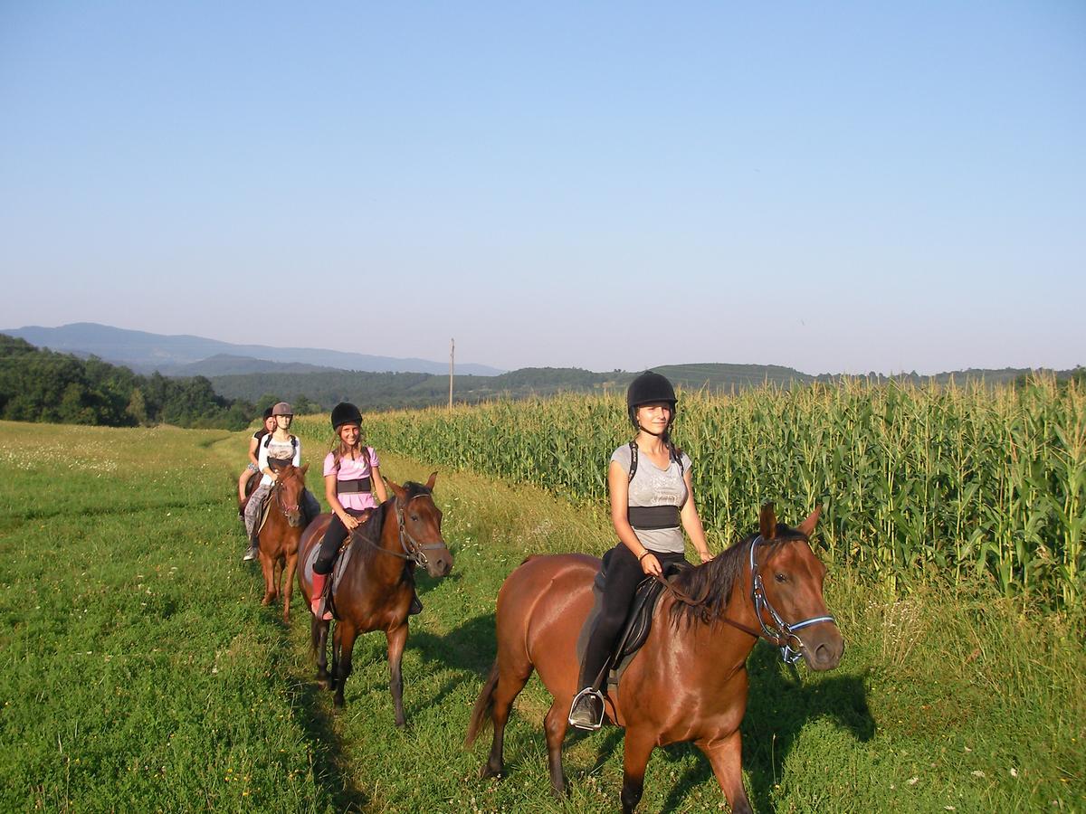 Ecopark Elena Otel Dış mekan fotoğraf