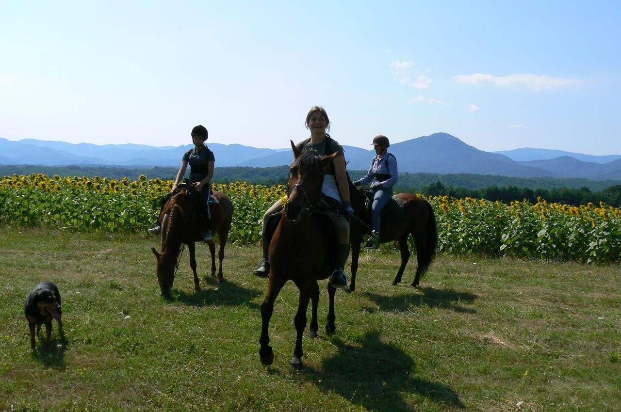 Ecopark Elena Otel Dış mekan fotoğraf