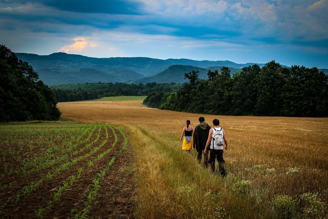 Ecopark Elena Otel Dış mekan fotoğraf