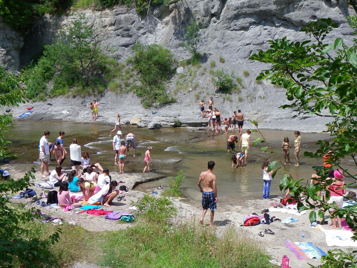 Ecopark Elena Otel Dış mekan fotoğraf