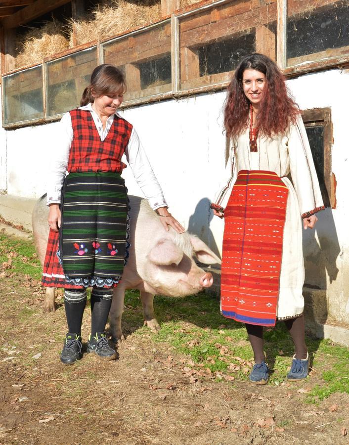 Ecopark Elena Otel Dış mekan fotoğraf
