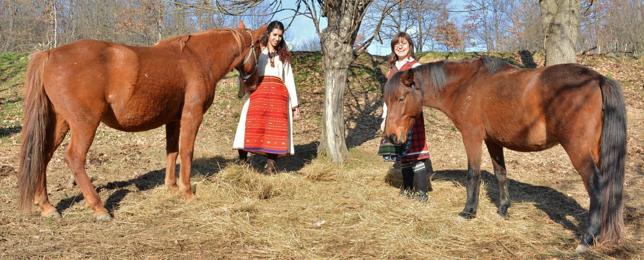 Ecopark Elena Otel Dış mekan fotoğraf