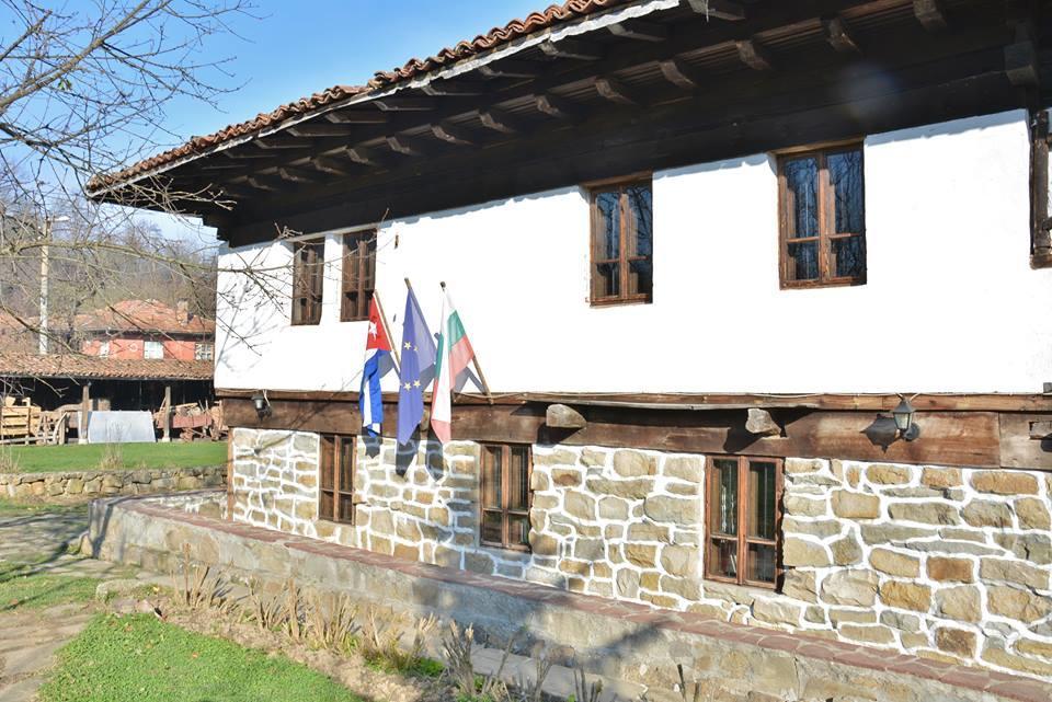 Ecopark Elena Otel Dış mekan fotoğraf